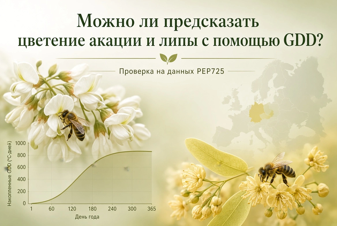Можно ли предсказать цветение акации и липы с помощью GDD? kapak görseli