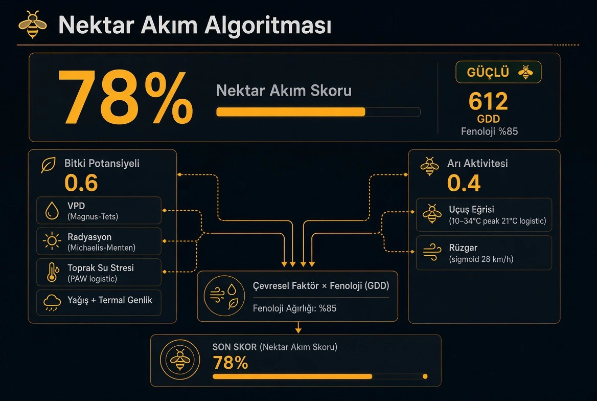 Nektar Akım Motorunda Yeni Dönem: İklim Krizinde Agro-Meteorolojik Modelleme ve Çam Salgı Balı Dinamikleri kapak görseli