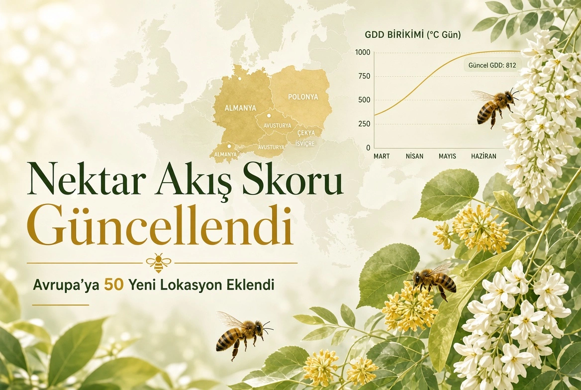 Polinasyon Lab Güncellendi: Avrupa’ya Eklenen 50 Yeni Lokasyon ile Arıcılıkta Dijital Dönüşüm kapak görseli