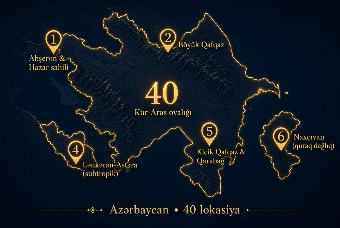 Polinasyon Lab Azərbaycan Yeniləməsi: 40 Yeni Lokasiya Əlavə Olundu kapak görseli